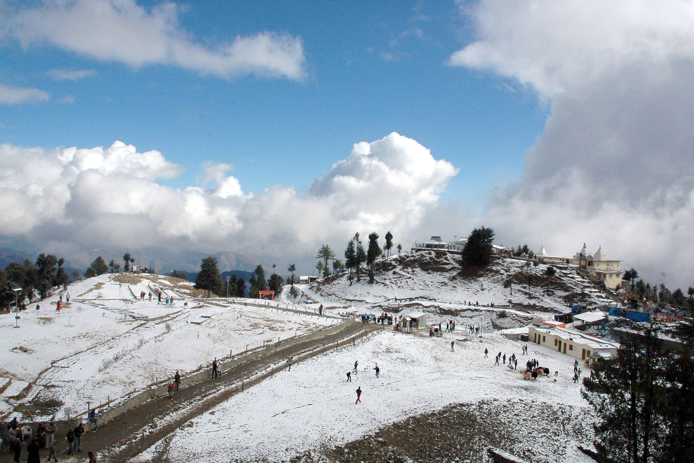 Shimla Snow Fall 